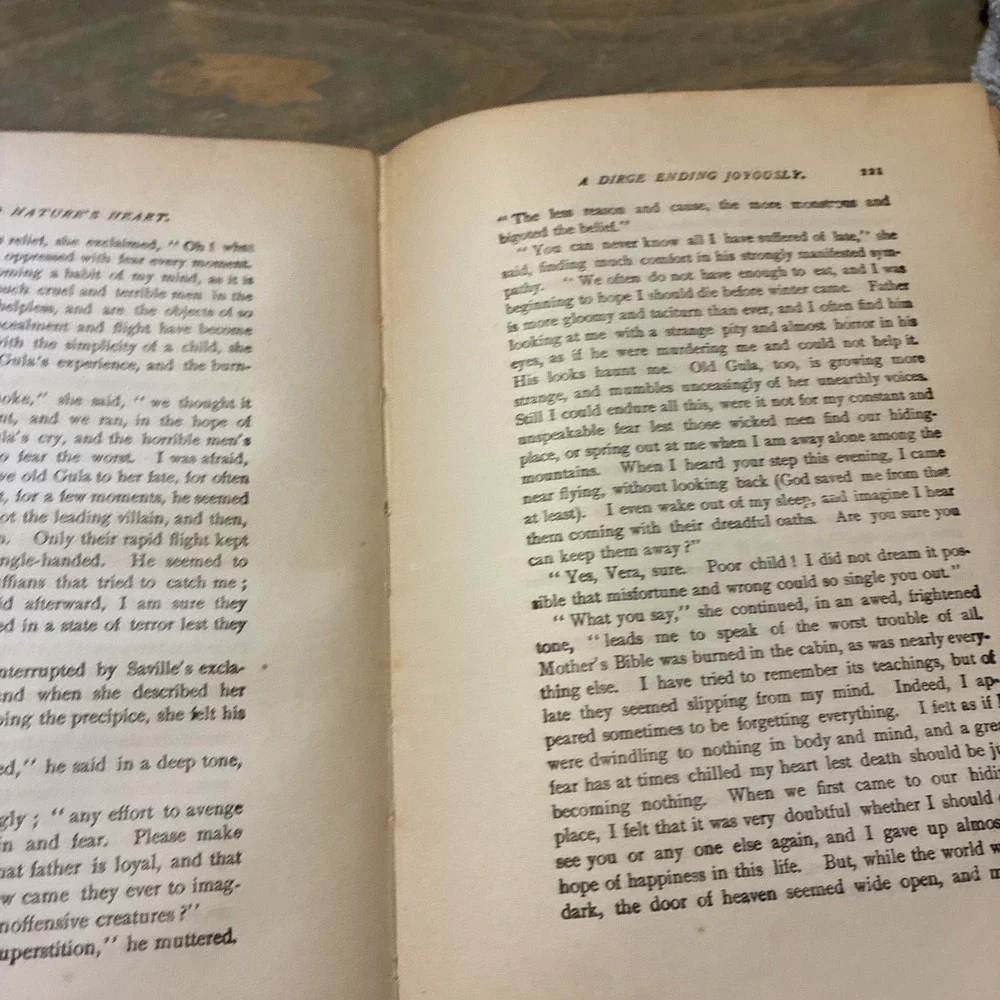 Near To Natures Heart VIII  by E.P. Roe, Dodd, Mead & Co 1876 Hardcover Antique